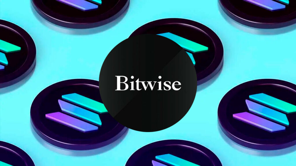 Bitwise CIO's Prediction: Based on On-Chain Metrics, Will Solana Be the Next Breakout Winner?